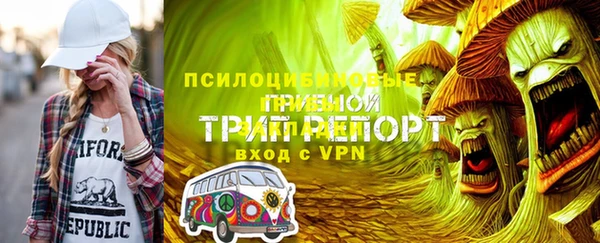 стаф Абинск