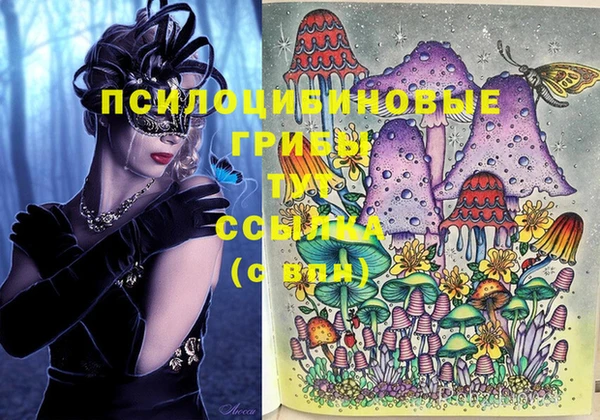 прущий лед Абаза