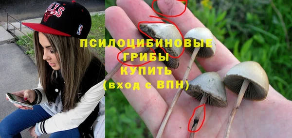 стаф Абинск